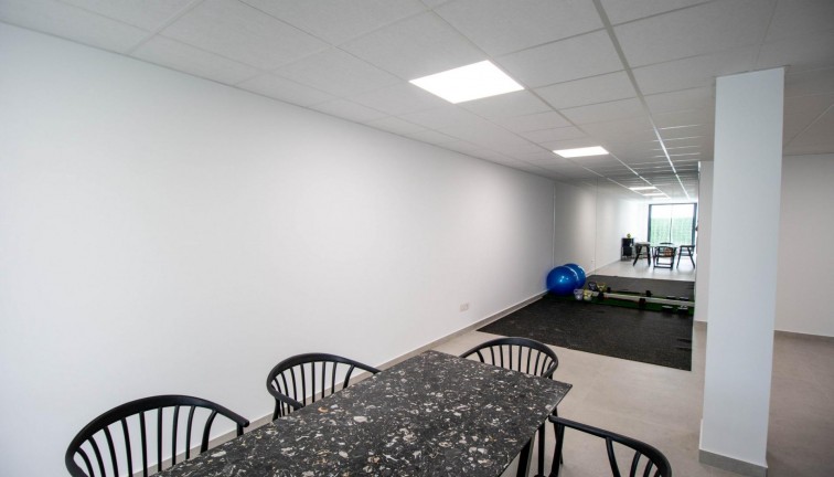 Obra nueva - Chalet - Finestrat