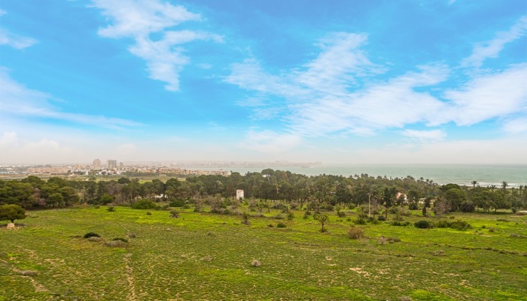 Resale - Apartment - Torrevieja - Punta Prima