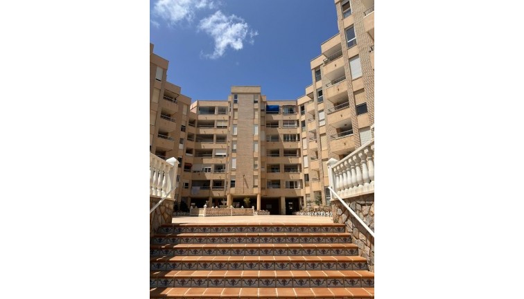 Återförsäljning - Studio - Torrevieja - Curva del Palangre