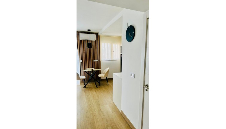 Återförsäljning - Studio - Torrevieja - Curva del Palangre