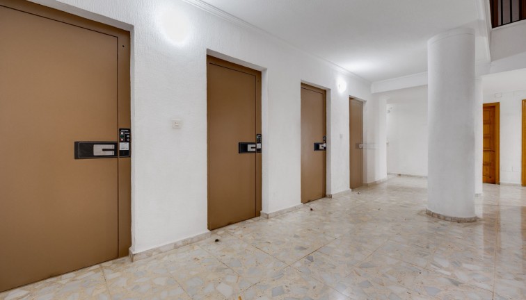 Återförsäljning - Studio - Torrevieja - Playa del Cura