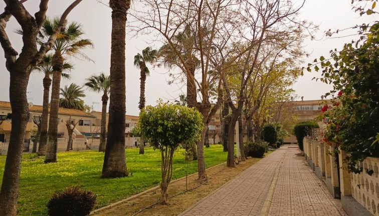 Resale - Apartment - Orihuela Costa - Cabo Roig