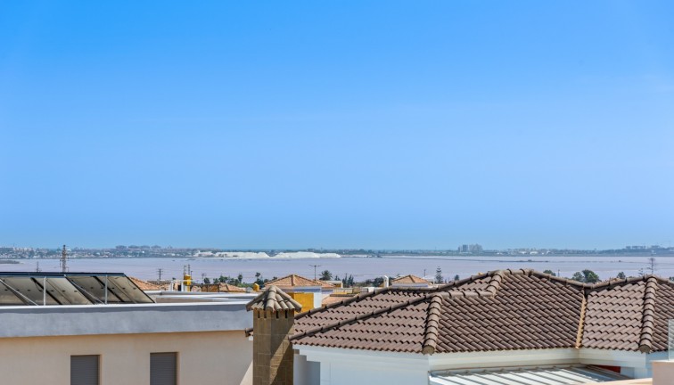 Reventa - Chalet - Los Montesinos - La Herrada