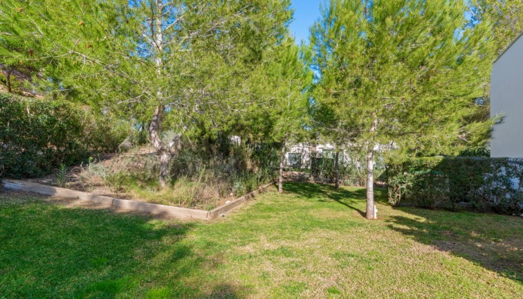 Resale - Chalet - Las Colinas