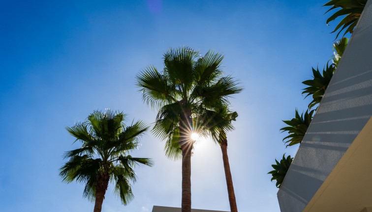 Resale - Chalet - Las Colinas