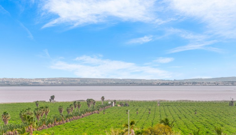Jälleenmyynti - Asunto - Torrevieja - Los Balcones