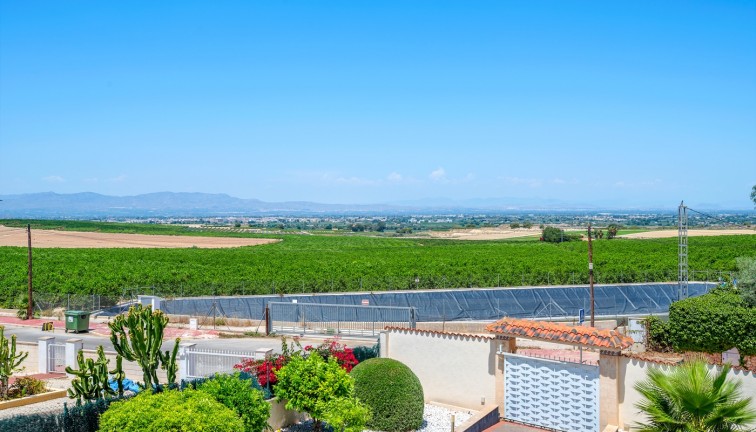 Reventa - Chalet - Algorfa