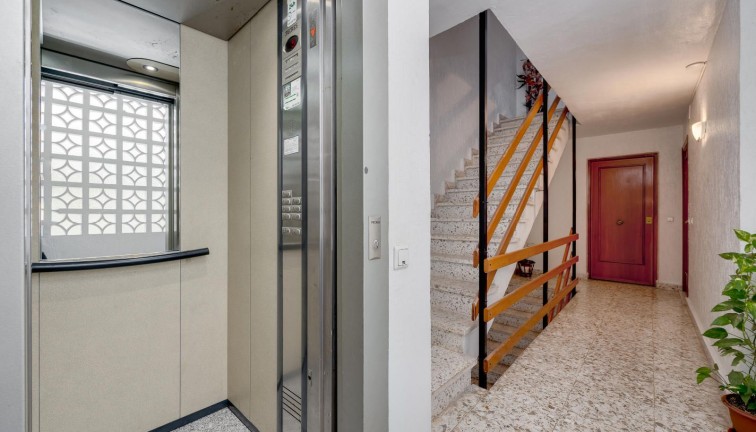 Reventa - Apartamento / piso - Torrevieja