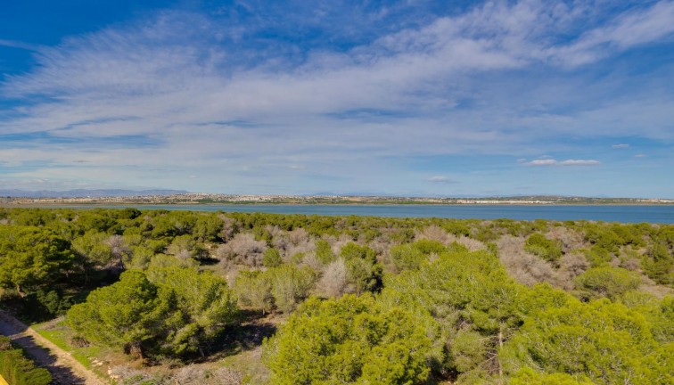 Reventa - Apartamento / piso - Torrevieja - San Luis