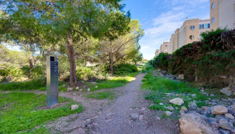 Reventa - Apartamento / piso - Torrevieja - San Luis