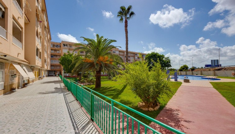 Återförsäljning -  Bostad - Översta våningen  - Torrevieja