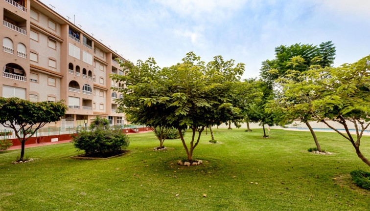 Resale - Apartment - Top Floor Apartment - Torrevieja