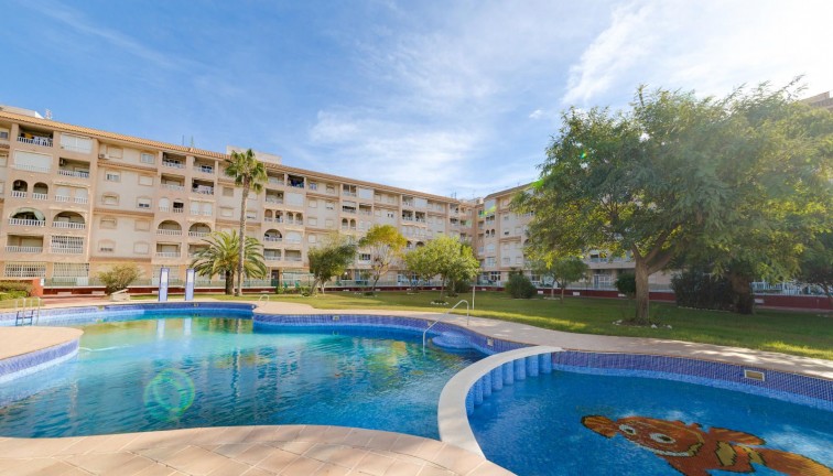 Resale - Apartment - Top Floor Apartment - Torrevieja