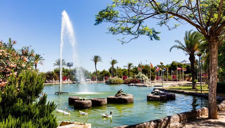 Resale - Apartment - Top Floor Apartment - Torrevieja