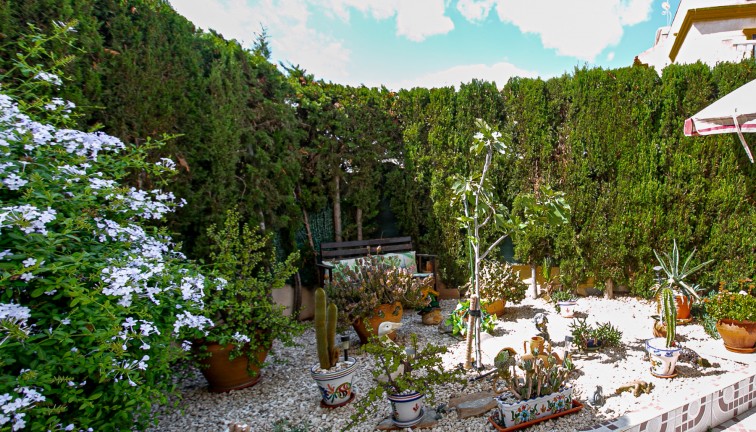 Resale - Apartment - Playa Flamenca