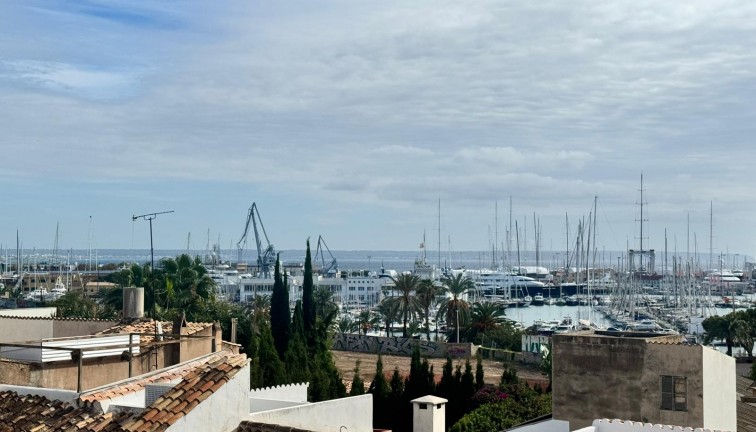 Reventa - Apartamento - Apartamento en el último piso - Palma