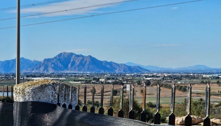 Reventa - Chalet - San Fulgencio