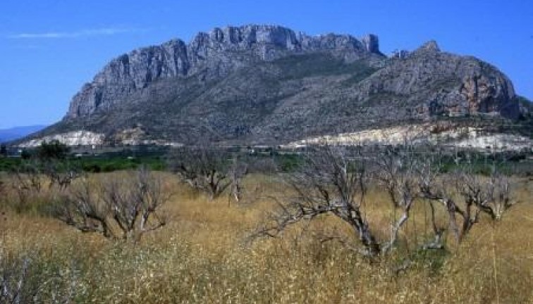 Uudistuotanto - Asunto - El Verger