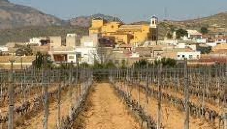 Obra nueva - Bungalow - Hondón de las Nieves