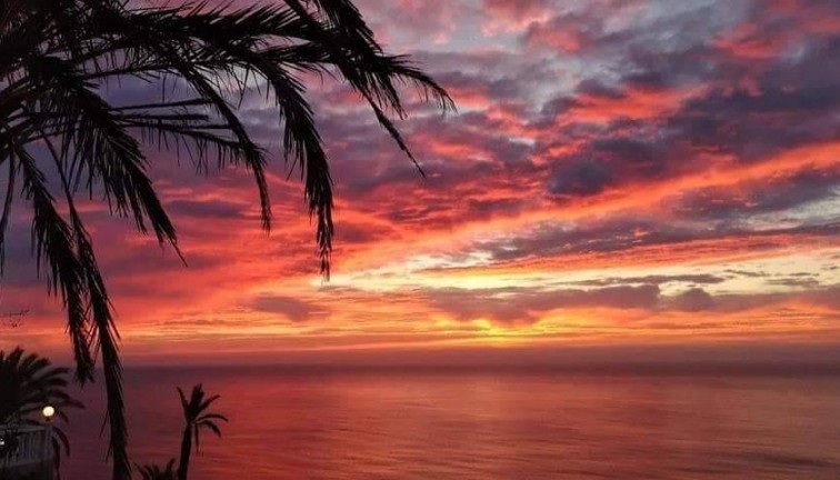 Uudistuotanto - Bungalow - Torrevieja - Altos del Sol