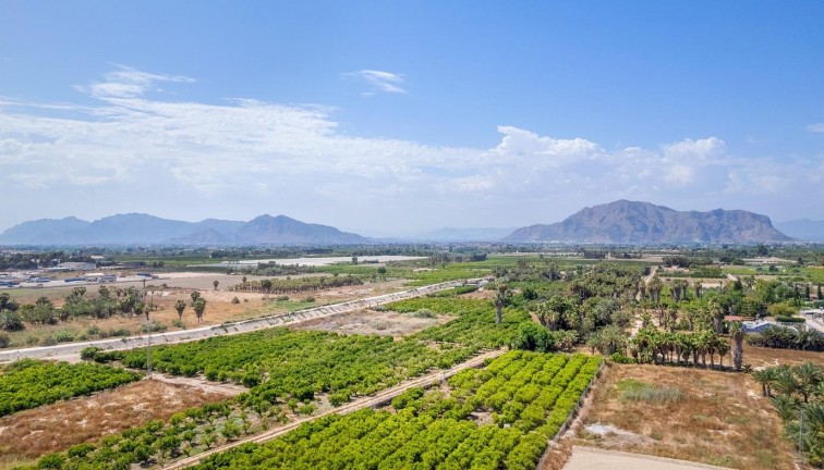 Uudistuotanto - Asunto - Jacarilla