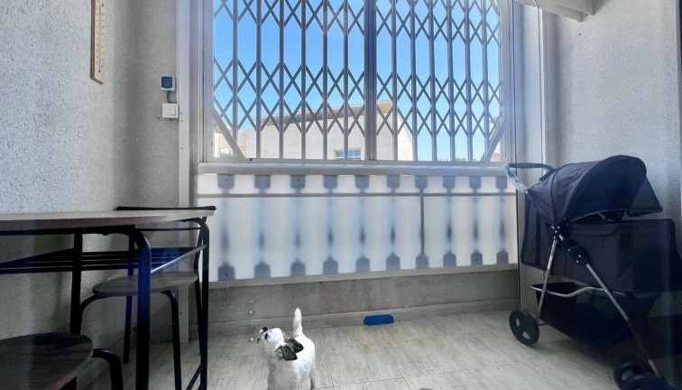 Jälleenmyynti - Asunto - Torrevieja - Acequion