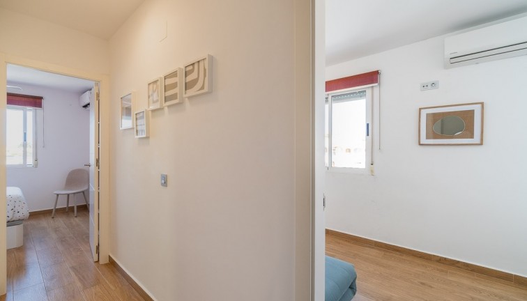 Reventa - Casa adosada - Torrevieja - El limonar