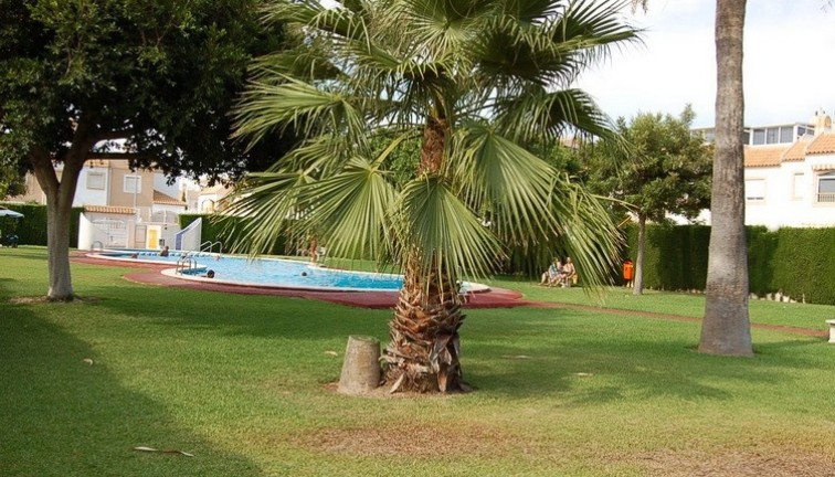 Reventa - Casa adosada - Torrevieja - El limonar