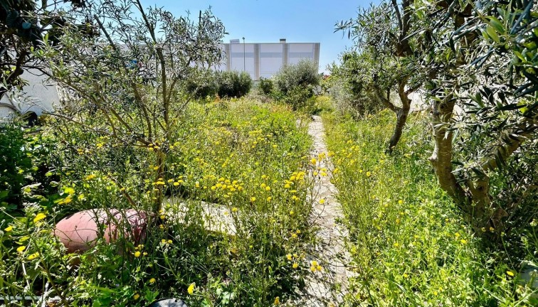 Jälleenmyynti - Tontti - Ciudad quesada - Rojales