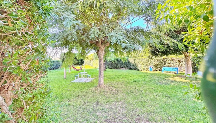 Reventa - Apartamento / piso - Torrevieja - LA MATA