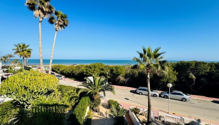 Reventa - Apartamento dúplex - Guardamar del Segura