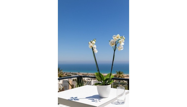 Uudistuotanto - Asunto - Santa Pola - Gran Alacant