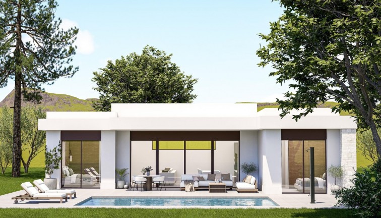 Obra nueva - Chalet - Pinoso