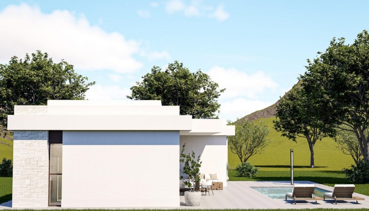 Obra nueva - Chalet - Pinoso