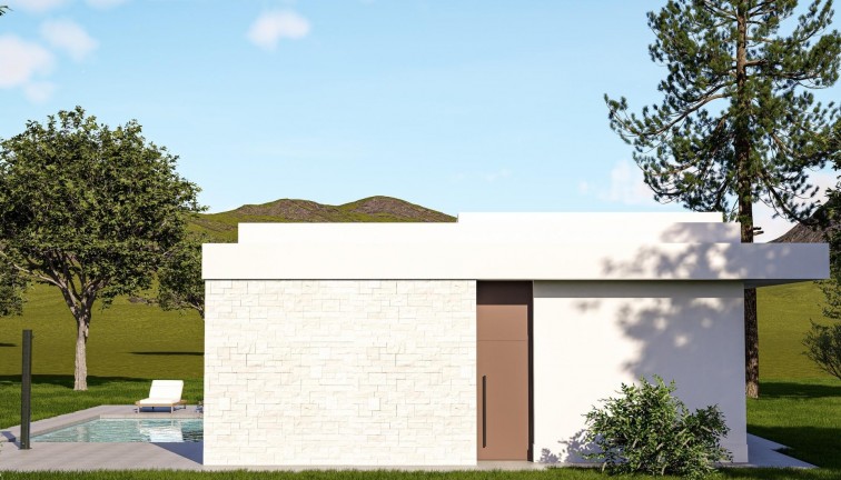 Obra nueva - Chalet - Pinoso