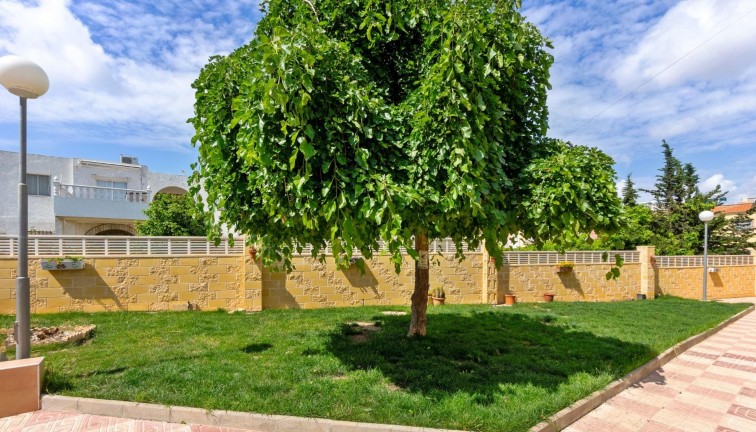 Resale - Apartment - Ground Floor Apartment - Torrevieja - El chaparral