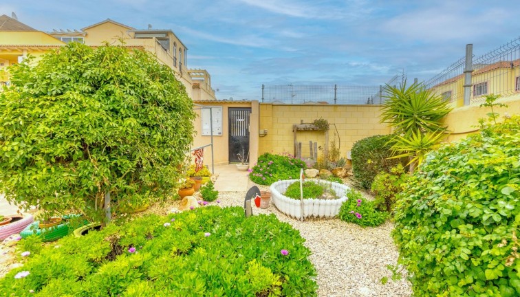 Resale - Apartment - Ground Floor Apartment - Torrevieja - El chaparral