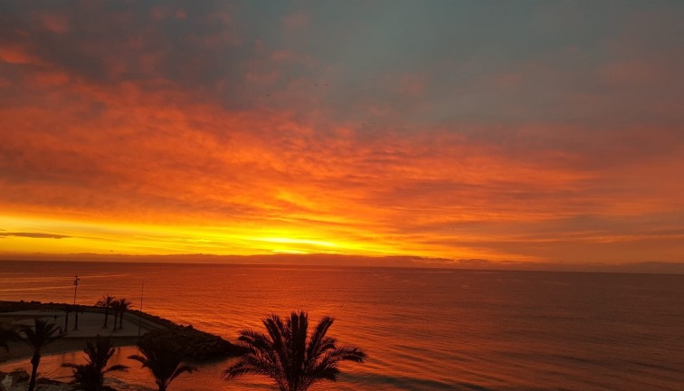 Återförsäljning - Lägenhet - Torrevieja - Playa del Cura
