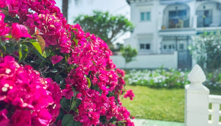 Resale - Bungalow - Torrevieja - Lago Jardin