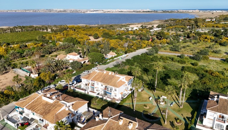 Jälleenmyynti - Bungalow - Torrevieja - Lago Jardin