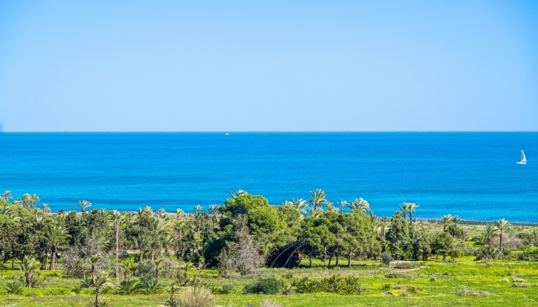 Jälleenmyynti - Asunto - Orihuela Costa - Punta Prima