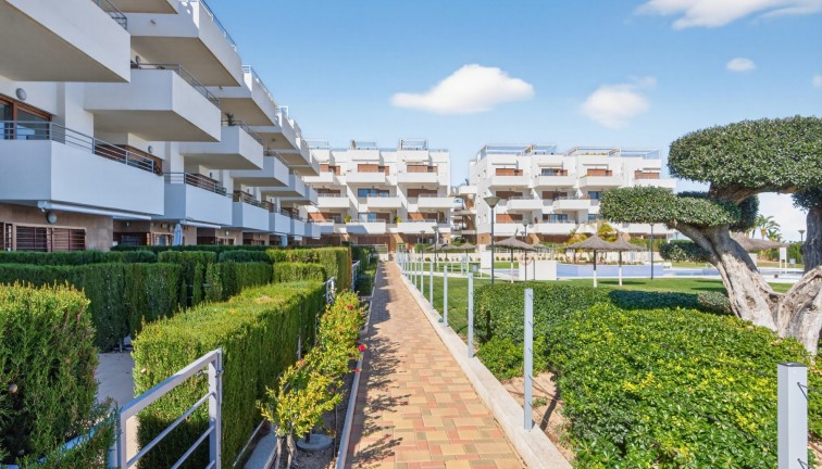 Återförsäljning - Lägenhet - Dehesa de Campoamor - Dehesa de campoamor