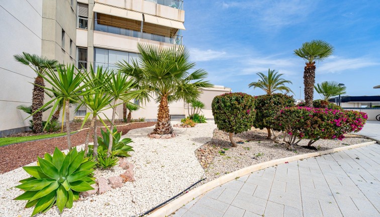 Jälleenmyynti - Asunto - Orihuela Costa - Los Dolses