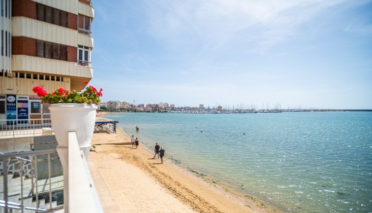 Återförsäljning - Lägenhet - Torrevieja - Acequion