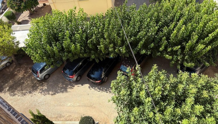 Reventa - Apartamento / piso - Torrevieja - LA MATA
