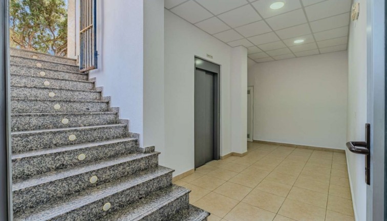 Jälleenmyynti - Liiketila - Torrevieja - Nueva Torrevieja