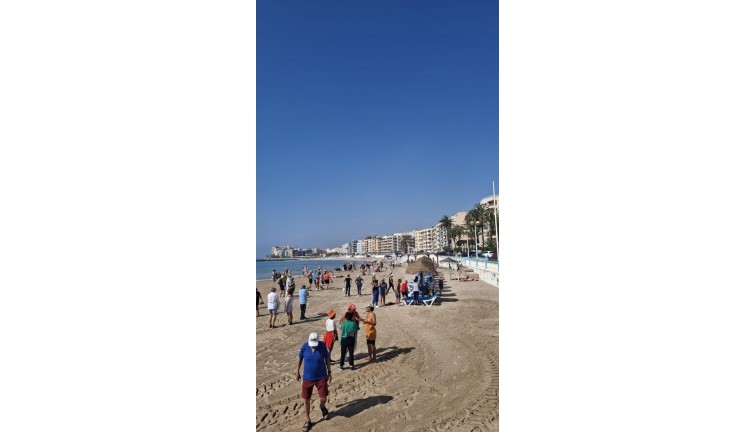 Reventa - Apartamento / piso - Torrevieja - Playa de los Locos