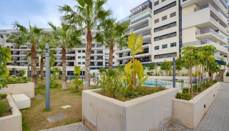 Jälleenmyynti - Asunto - Ylimmän kerroksen asunto - Orihuela Costa - Campoamor