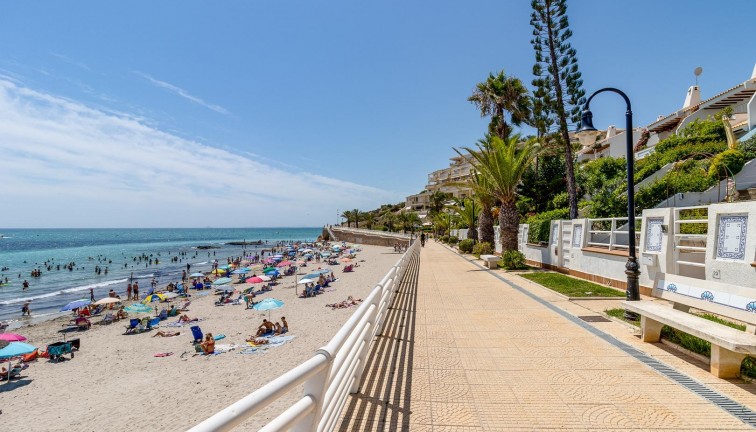 Jälleenmyynti - Asunto - Ylimmän kerroksen asunto - Orihuela Costa - Campoamor