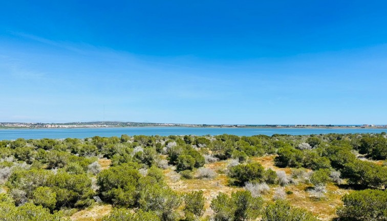 Jälleenmyynti - Asunto - Torrevieja - San Luis